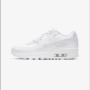 Big Kids’ Shoe Nike Air Max 90 LTR size 6.5 youth